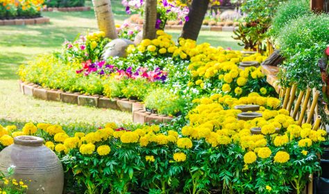 Landscaped flower garden with lots of colorful blooms.